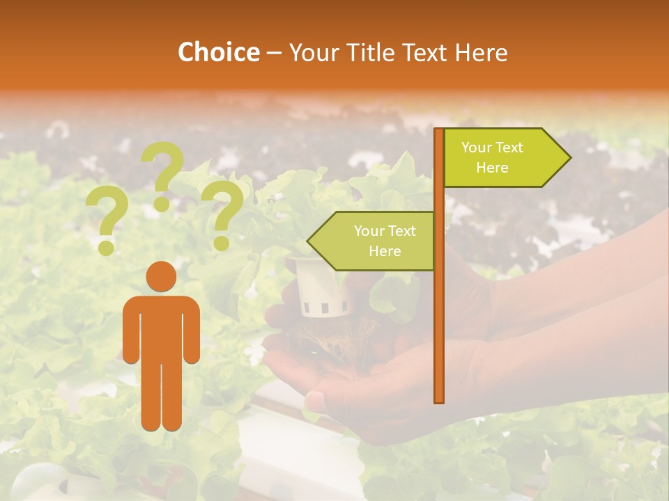 A Person Holding A Small House Plant In Their Hands PowerPoint Template