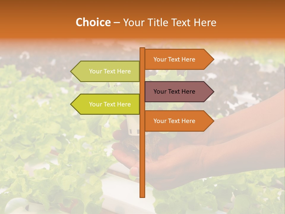 A Person Holding A Small House Plant In Their Hands PowerPoint Template