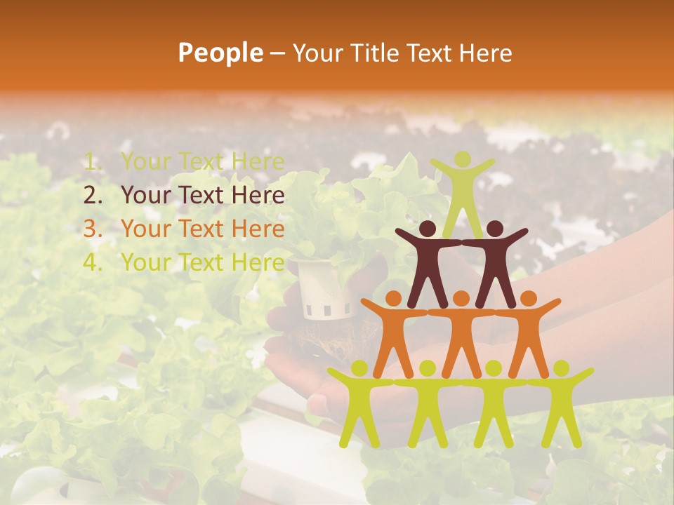 A Person Holding A Small House Plant In Their Hands PowerPoint Template