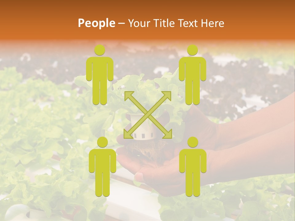 A Person Holding A Small House Plant In Their Hands PowerPoint Template