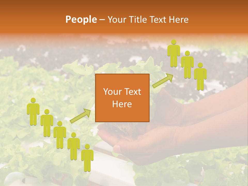 A Person Holding A Small House Plant In Their Hands PowerPoint Template