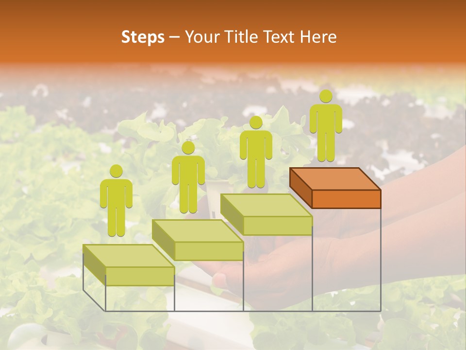 A Person Holding A Small House Plant In Their Hands PowerPoint Template