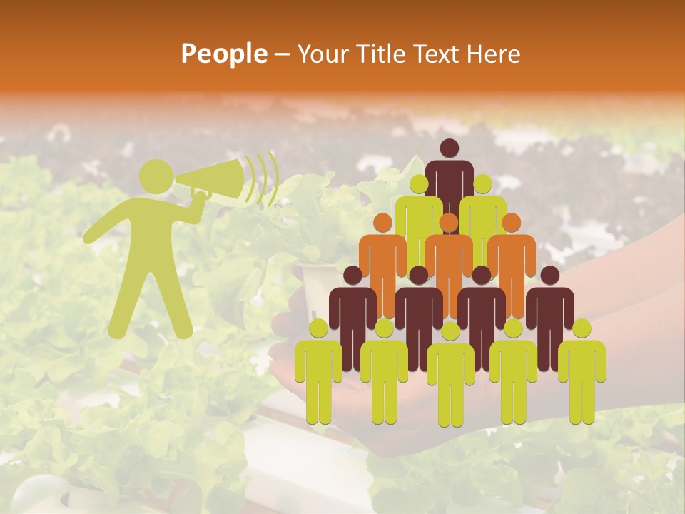 A Person Holding A Small House Plant In Their Hands PowerPoint Template