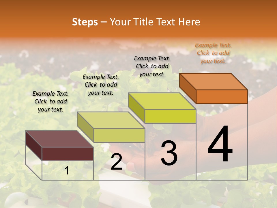 A Person Holding A Small House Plant In Their Hands PowerPoint Template