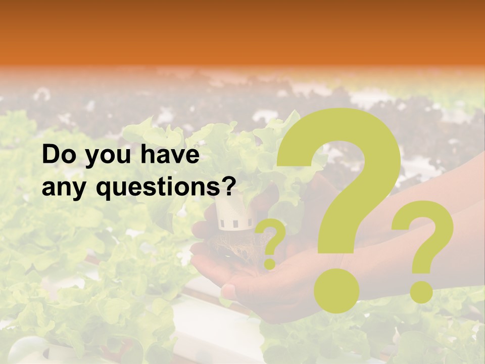 A Person Holding A Small House Plant In Their Hands PowerPoint Template