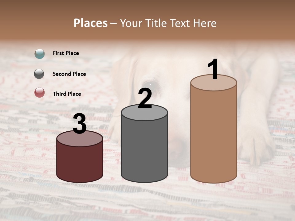 Home Resting Big PowerPoint Template