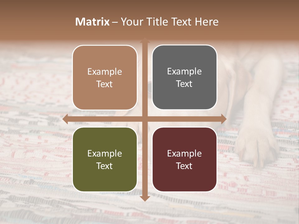 Home Resting Big PowerPoint Template