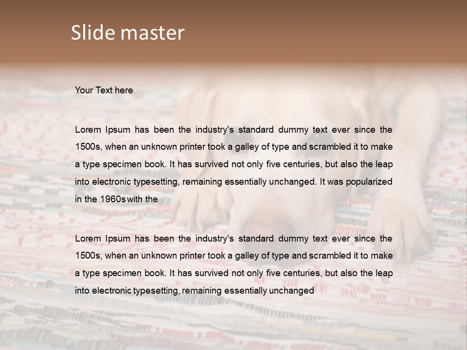 Home Resting Big PowerPoint Template