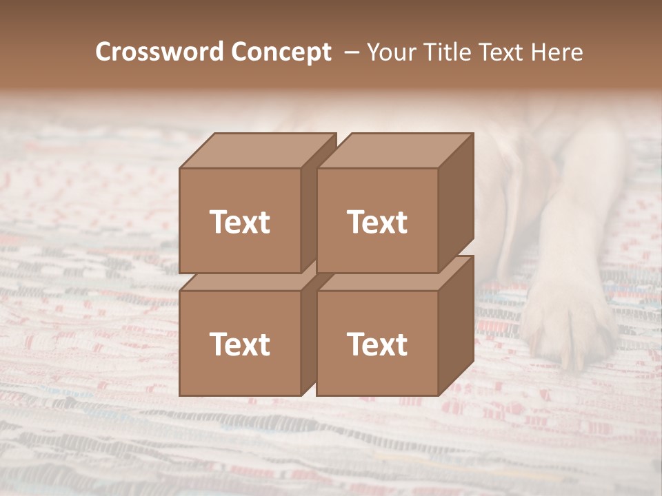 Home Resting Big PowerPoint Template