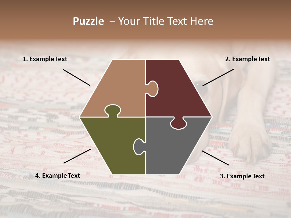 Home Resting Big PowerPoint Template