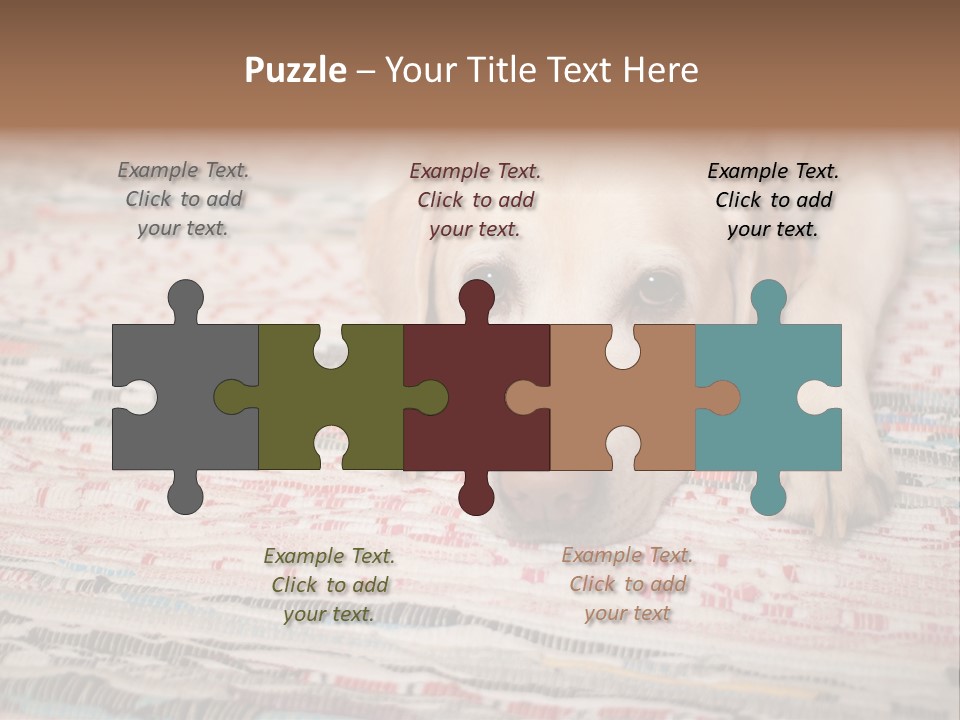 Home Resting Big PowerPoint Template