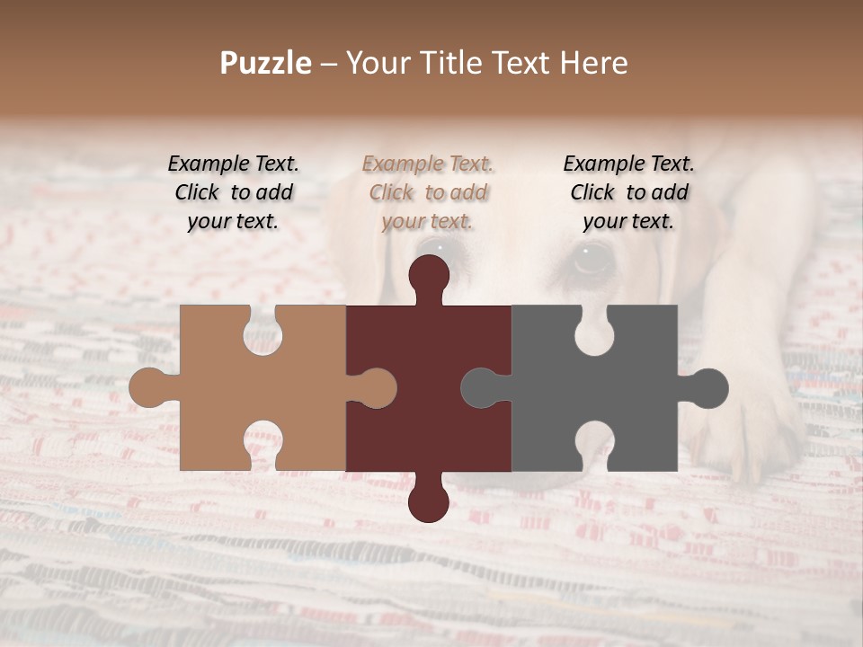 Home Resting Big PowerPoint Template