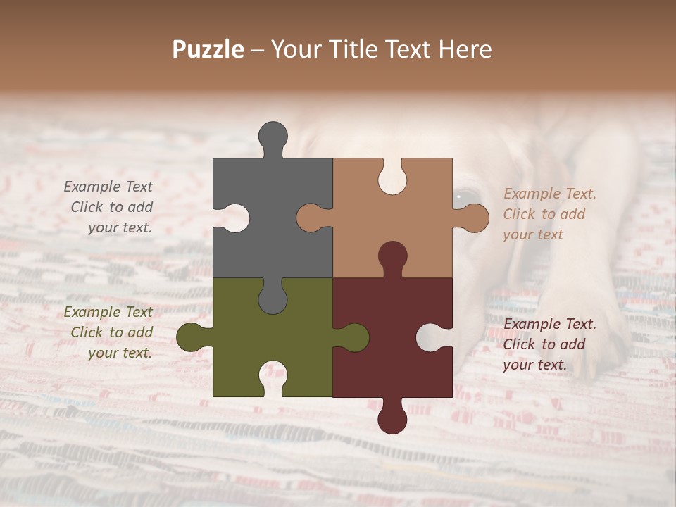 Home Resting Big PowerPoint Template