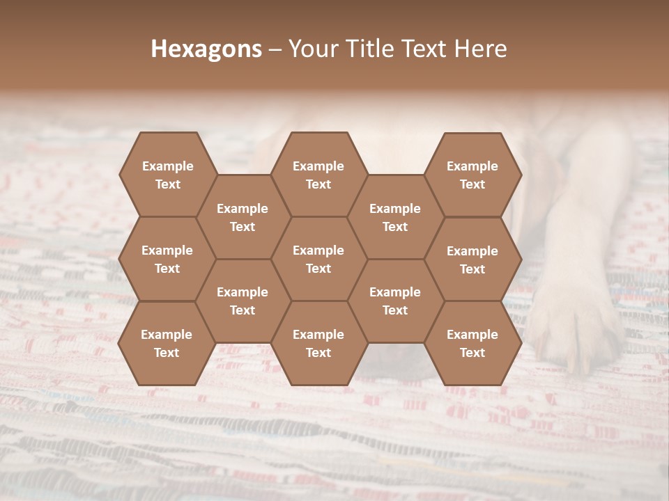 Home Resting Big PowerPoint Template