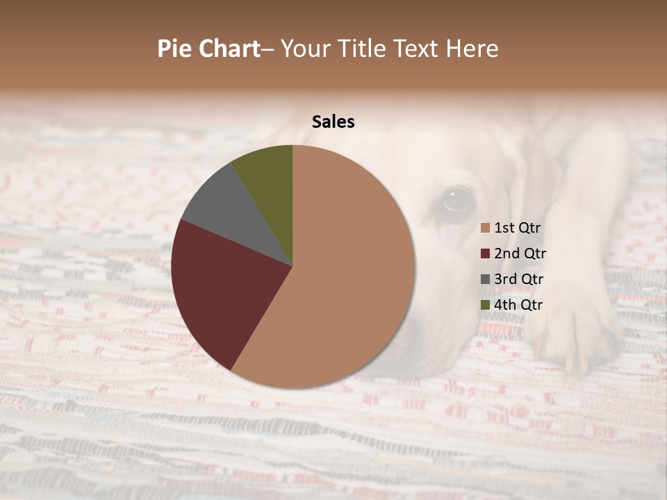 Home Resting Big PowerPoint Template