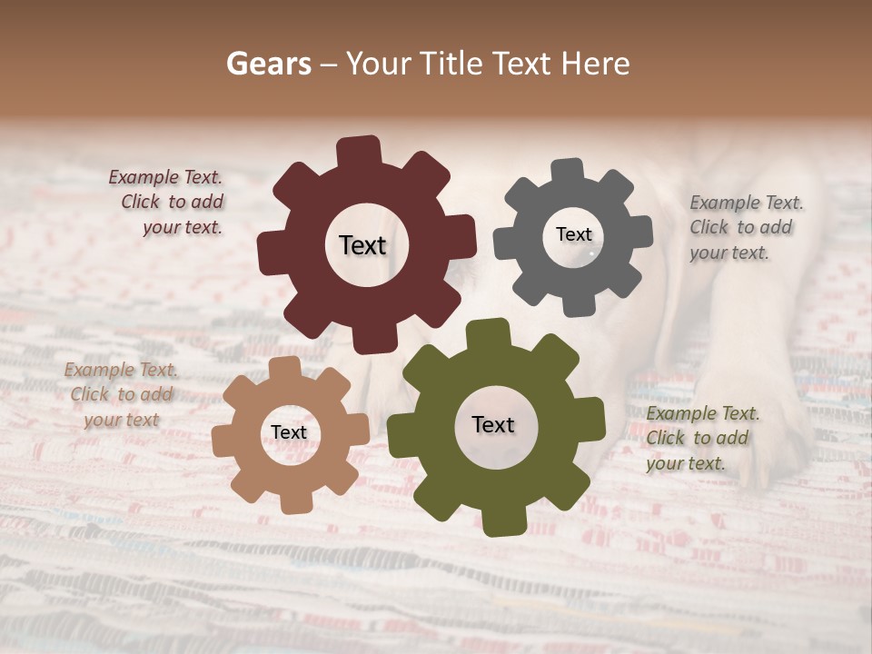 Home Resting Big PowerPoint Template