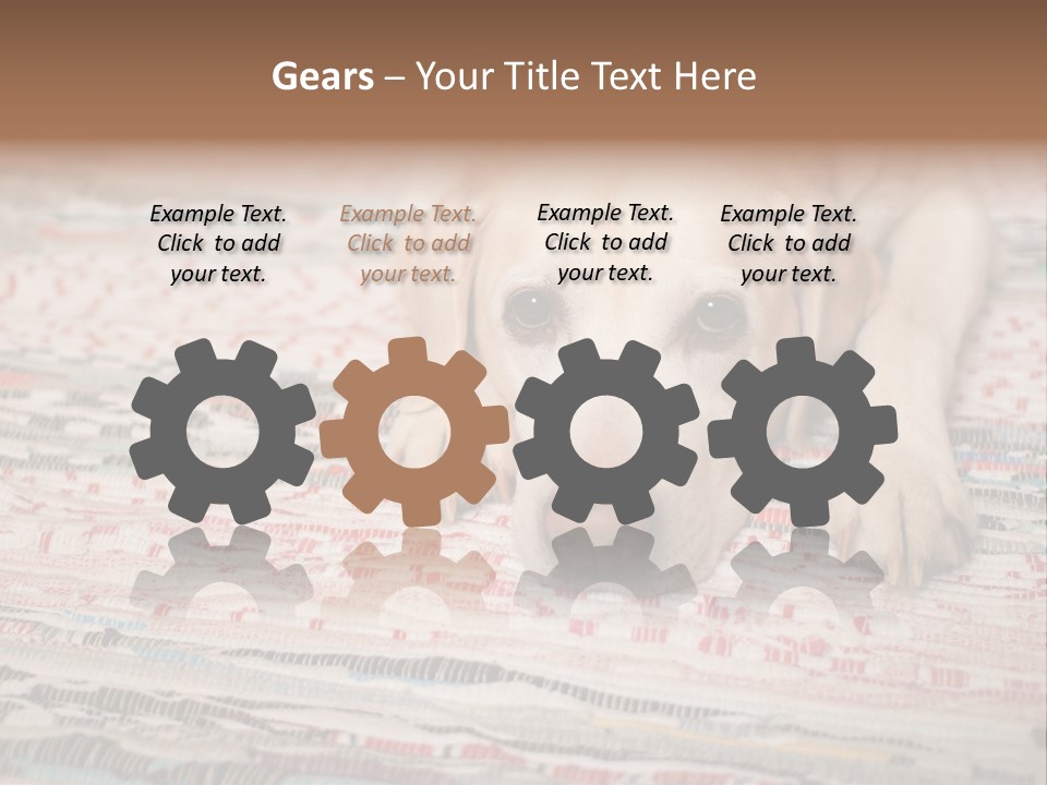 Home Resting Big PowerPoint Template