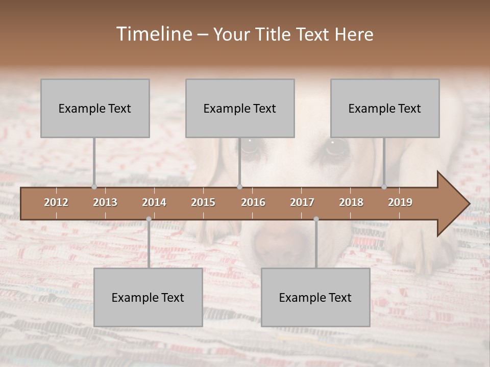 Home Resting Big PowerPoint Template