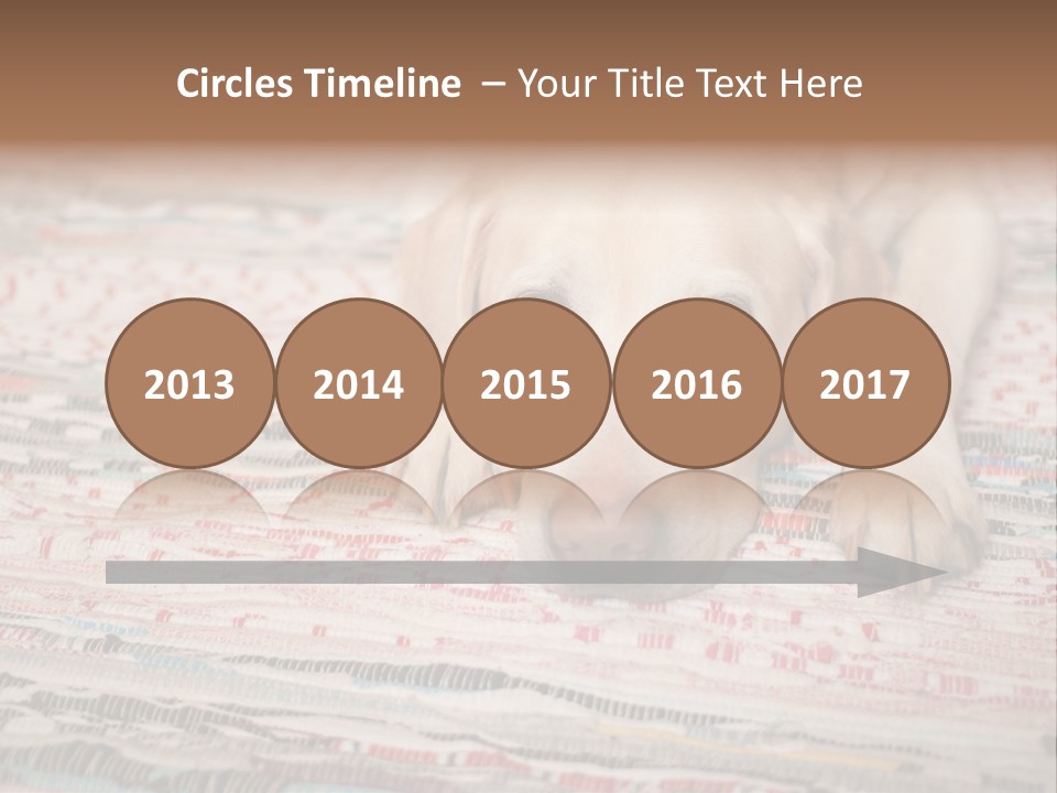 Home Resting Big PowerPoint Template