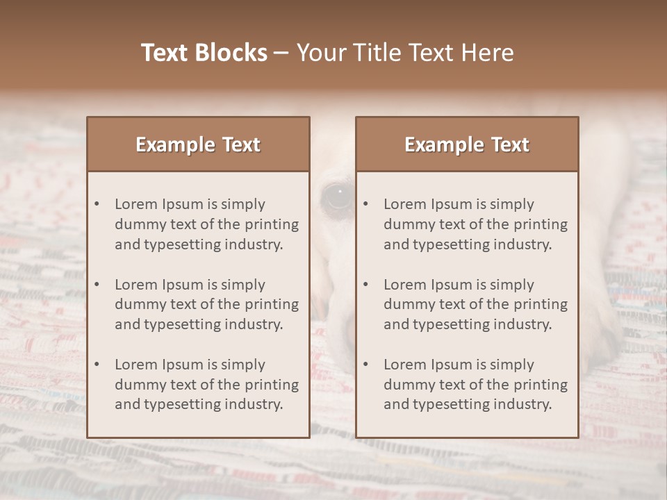 Home Resting Big PowerPoint Template