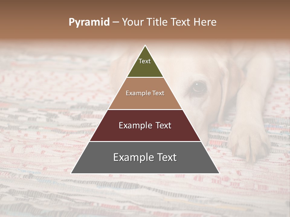 Home Resting Big PowerPoint Template