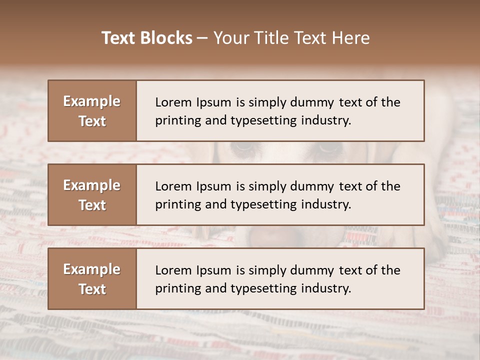 Home Resting Big PowerPoint Template