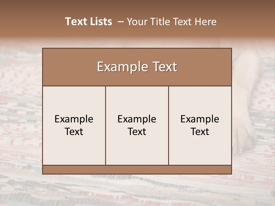 Home Resting Big PowerPoint Template