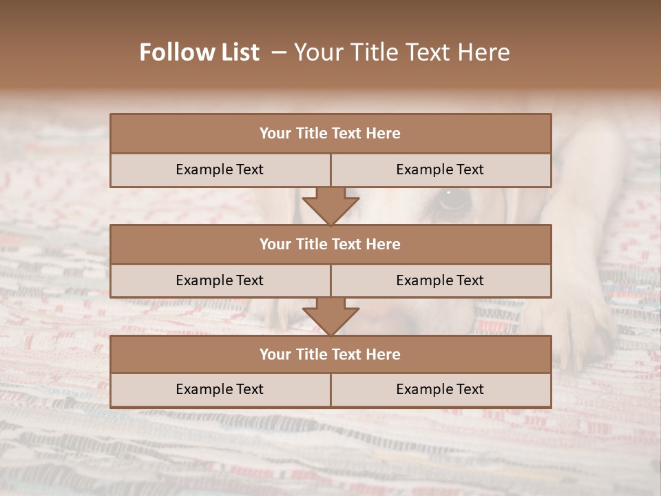 Home Resting Big PowerPoint Template