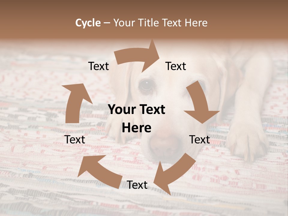 Home Resting Big PowerPoint Template