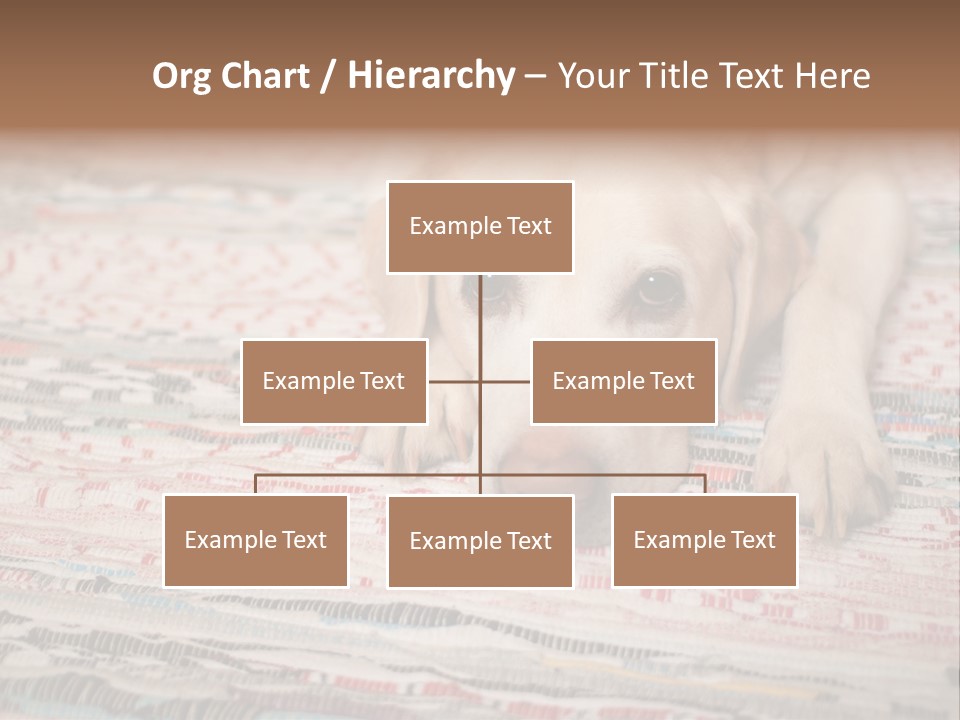 Home Resting Big PowerPoint Template