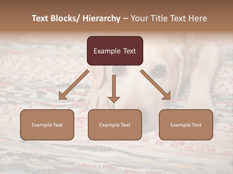 Home Resting Big PowerPoint Template