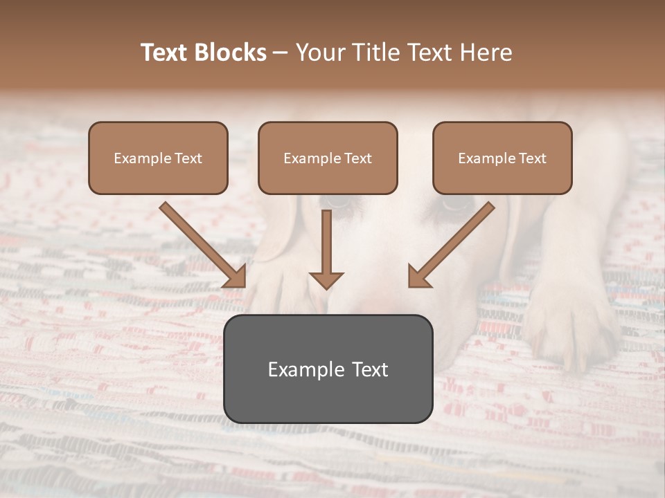 Home Resting Big PowerPoint Template