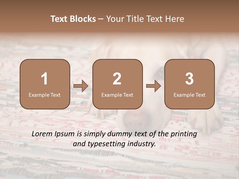 Home Resting Big PowerPoint Template