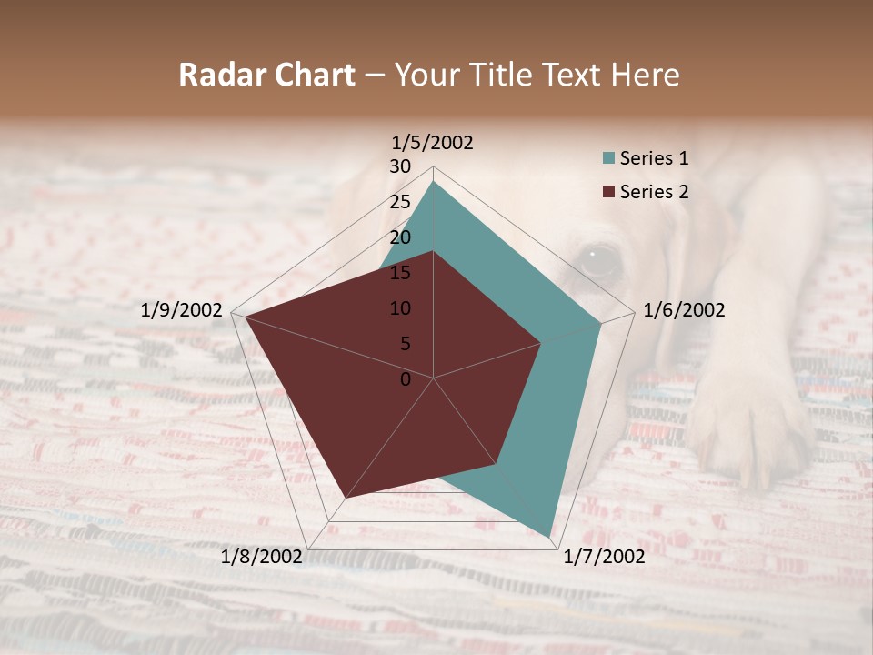 Home Resting Big PowerPoint Template