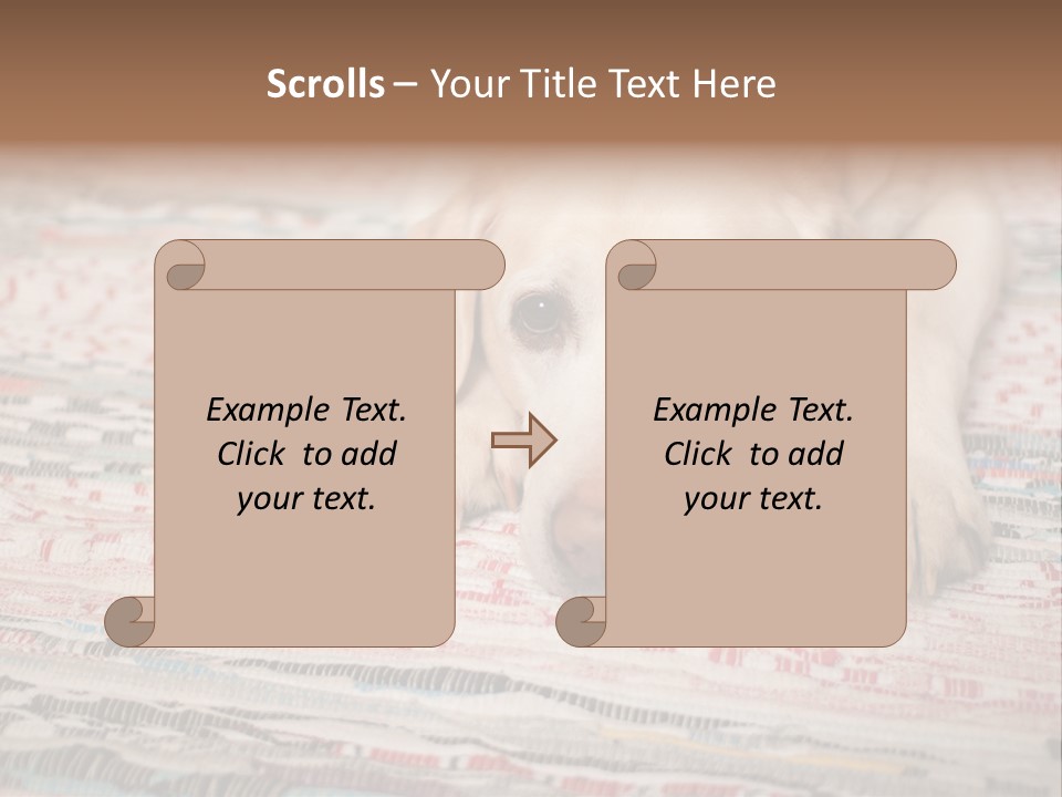 Home Resting Big PowerPoint Template