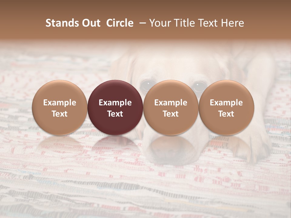 Home Resting Big PowerPoint Template