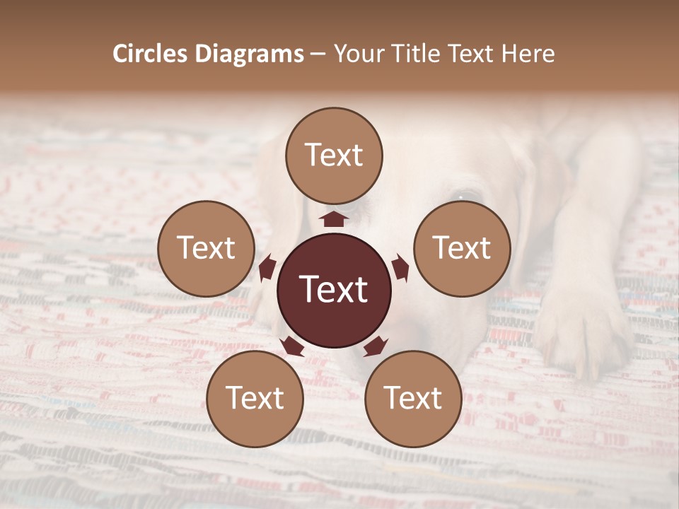 Home Resting Big PowerPoint Template