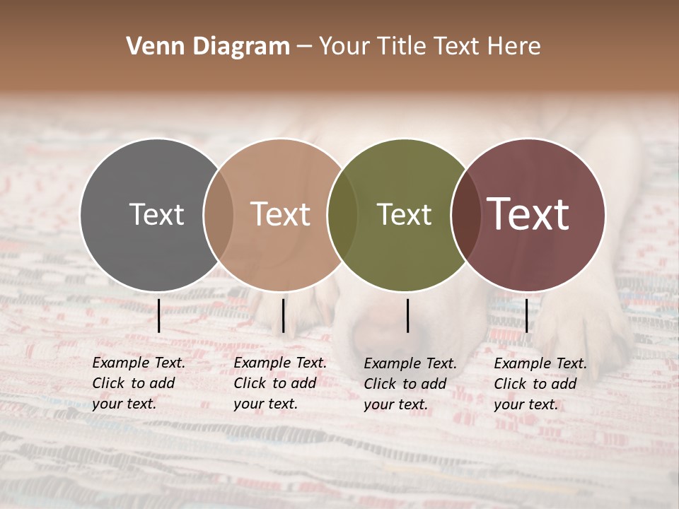 Home Resting Big PowerPoint Template