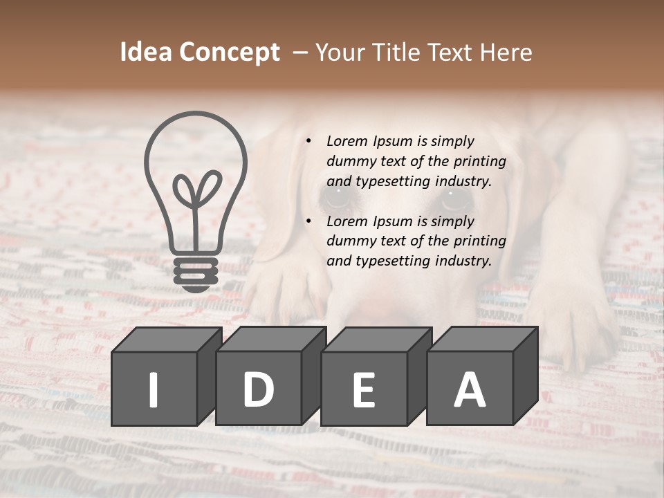 Home Resting Big PowerPoint Template