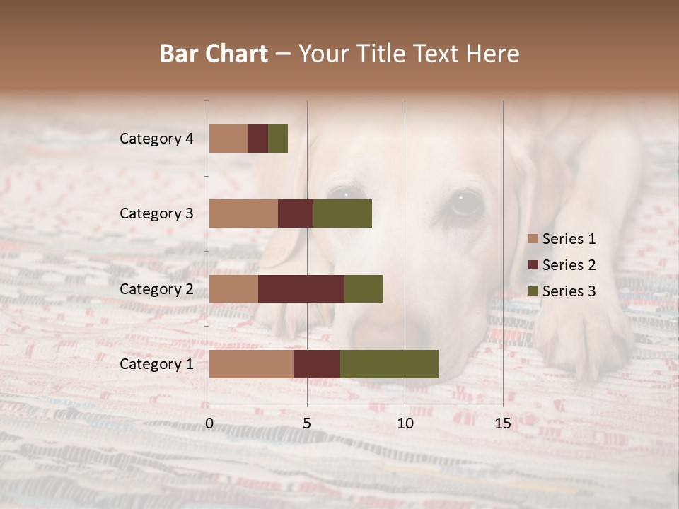 Home Resting Big PowerPoint Template