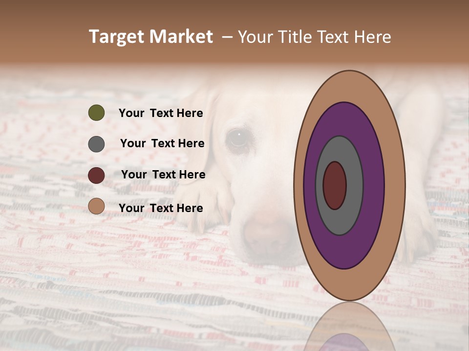 Home Resting Big PowerPoint Template