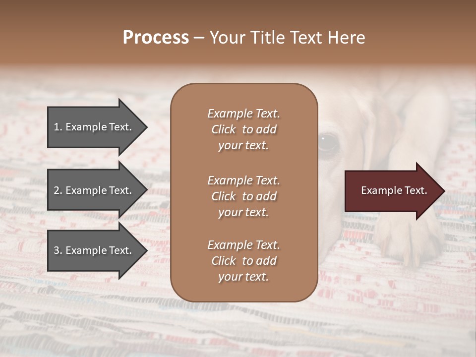 Home Resting Big PowerPoint Template