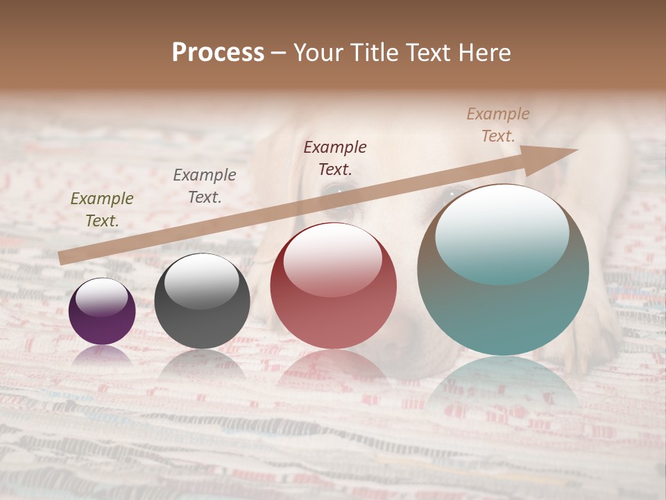 Home Resting Big PowerPoint Template