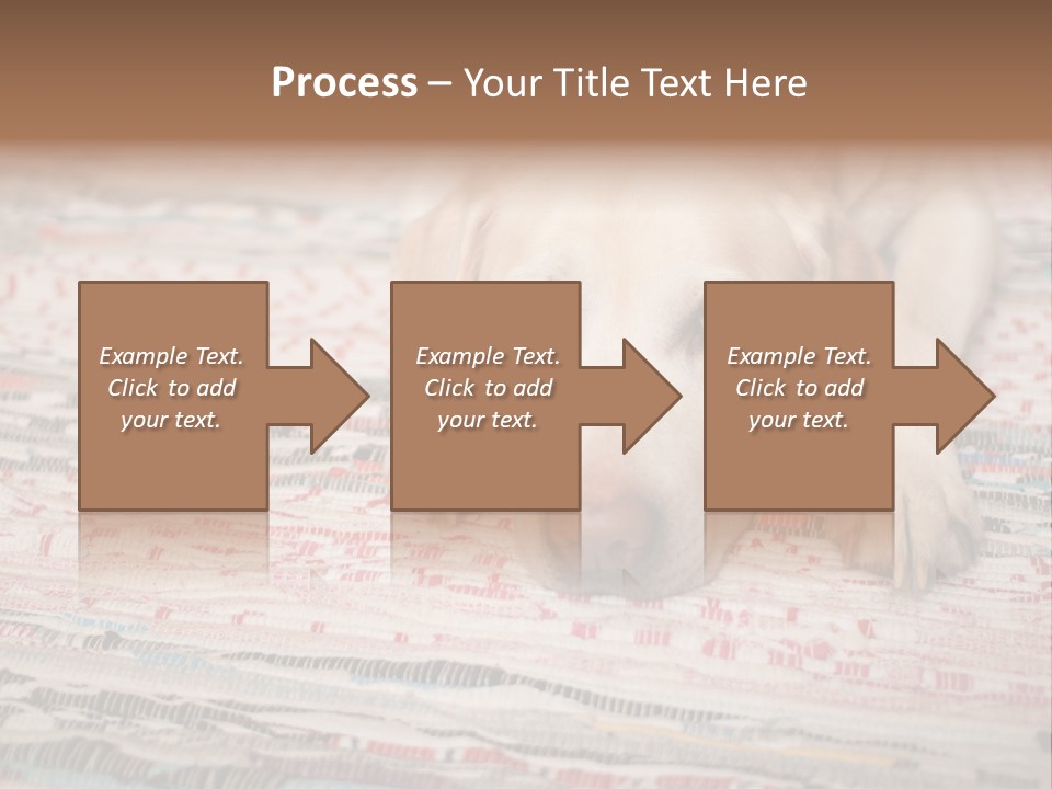 Home Resting Big PowerPoint Template
