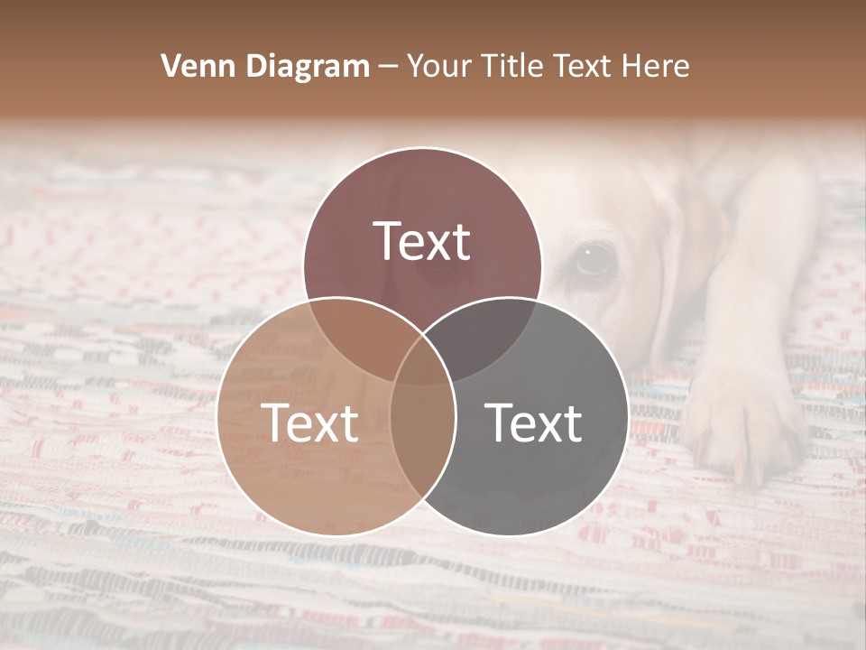 Home Resting Big PowerPoint Template