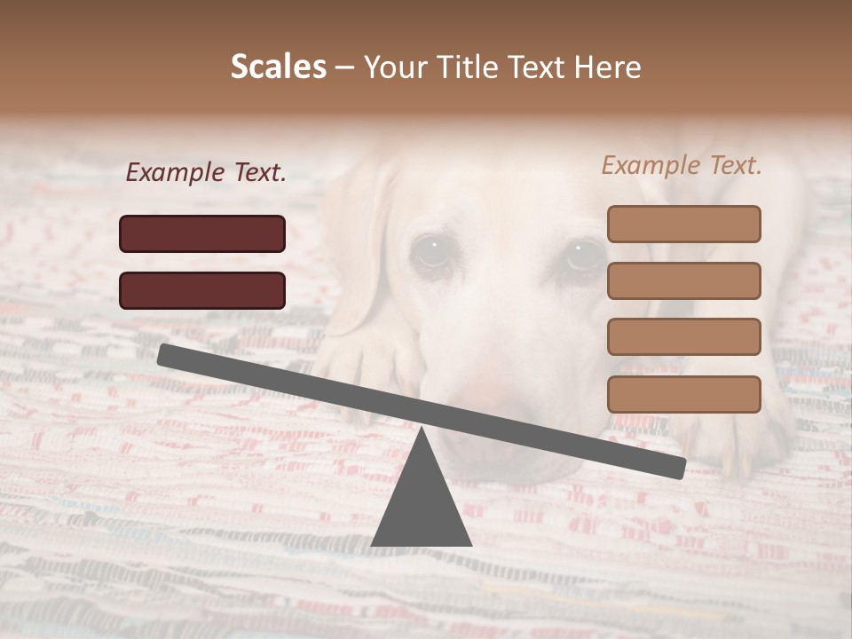 Home Resting Big PowerPoint Template