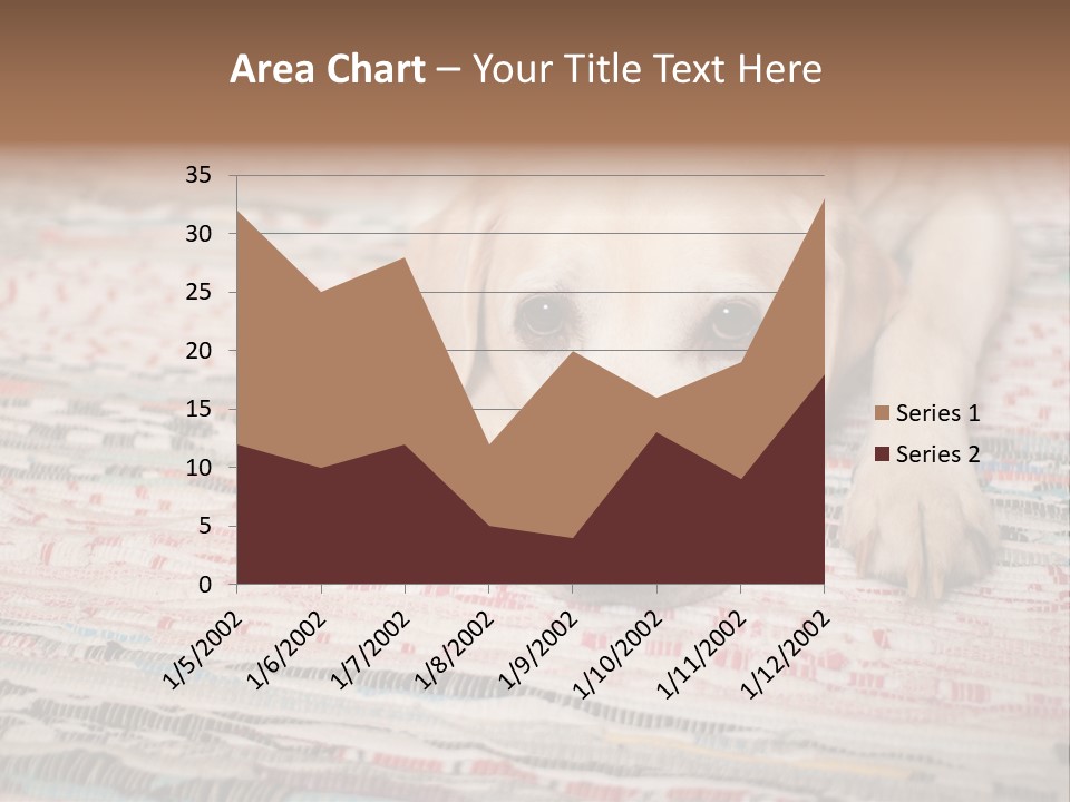 Home Resting Big PowerPoint Template