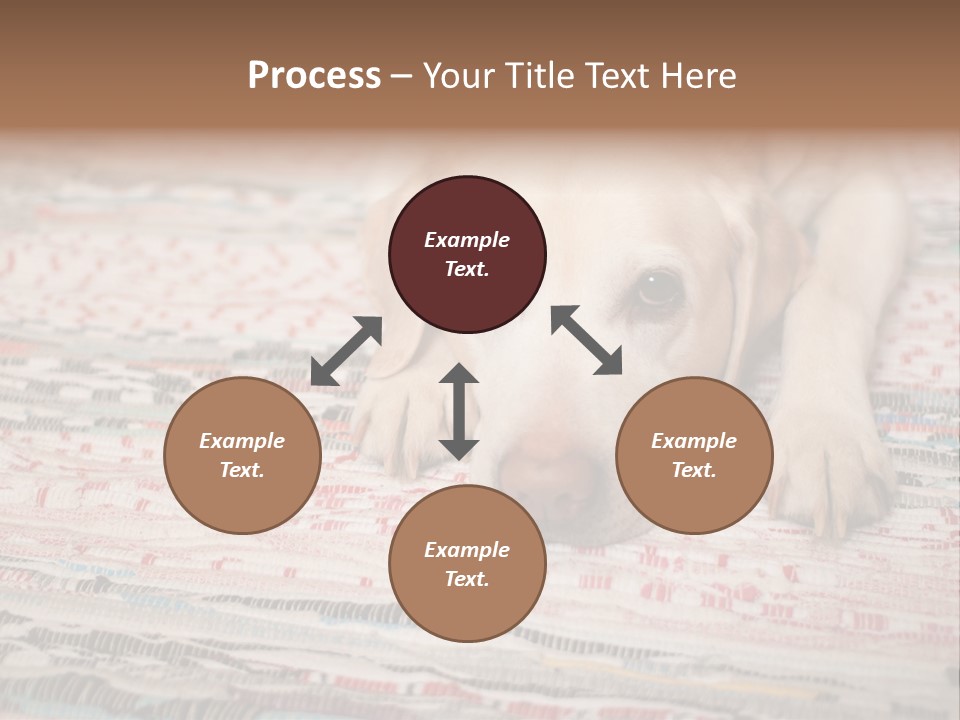 Home Resting Big PowerPoint Template