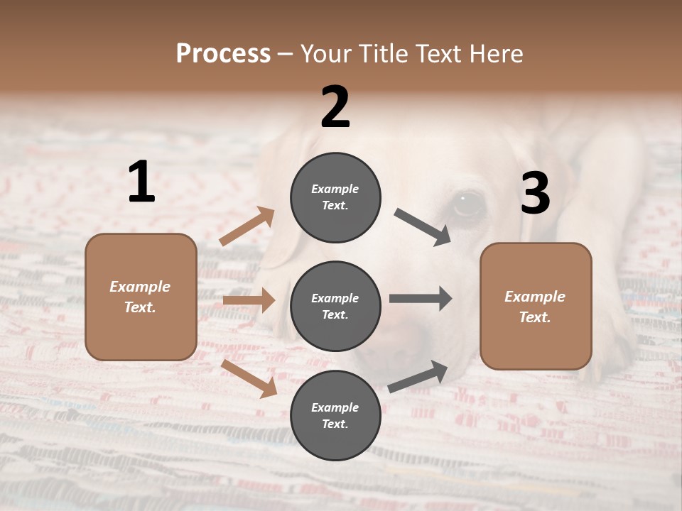 Home Resting Big PowerPoint Template