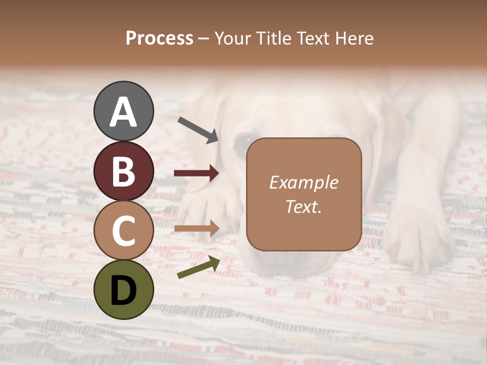 Home Resting Big PowerPoint Template